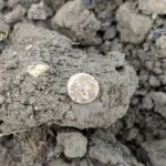 A British metal detectorist uncovered a rare Iron Age gold coin hoard in a Suffolk field, with the remarkable treasure later selling at auction for an impressive £33,200.
